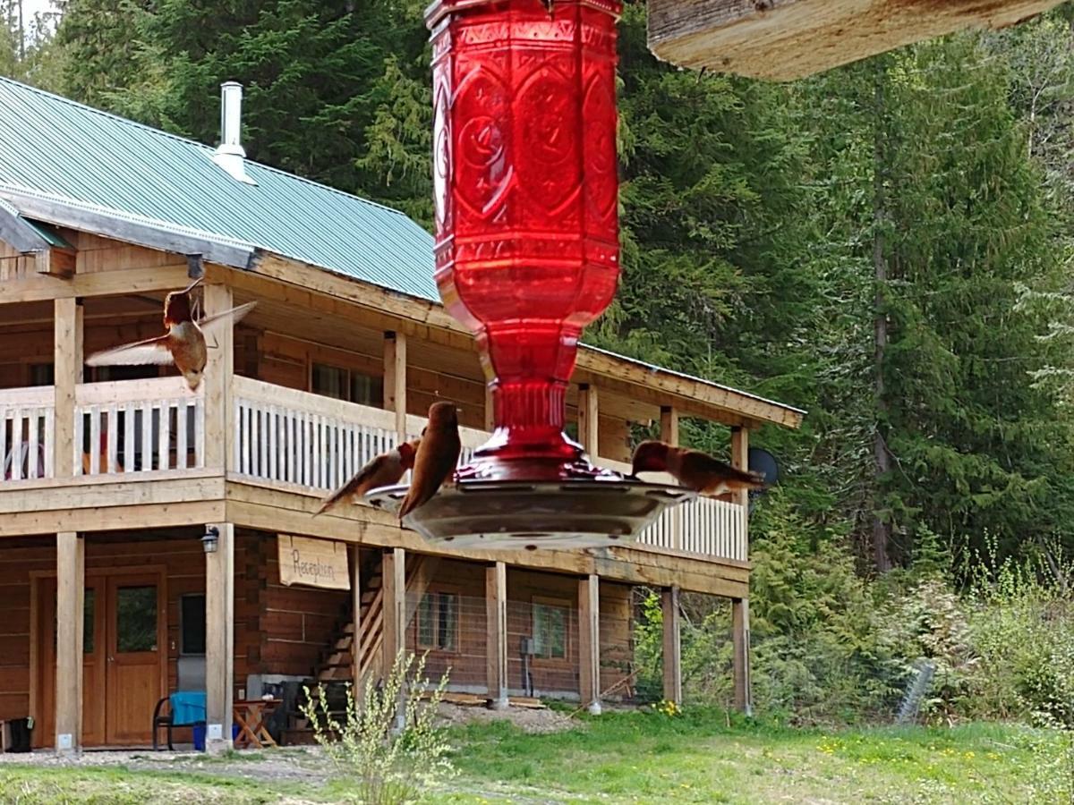 Vila Wolfwood Guest Ranch Clearwater Exteriér fotografie